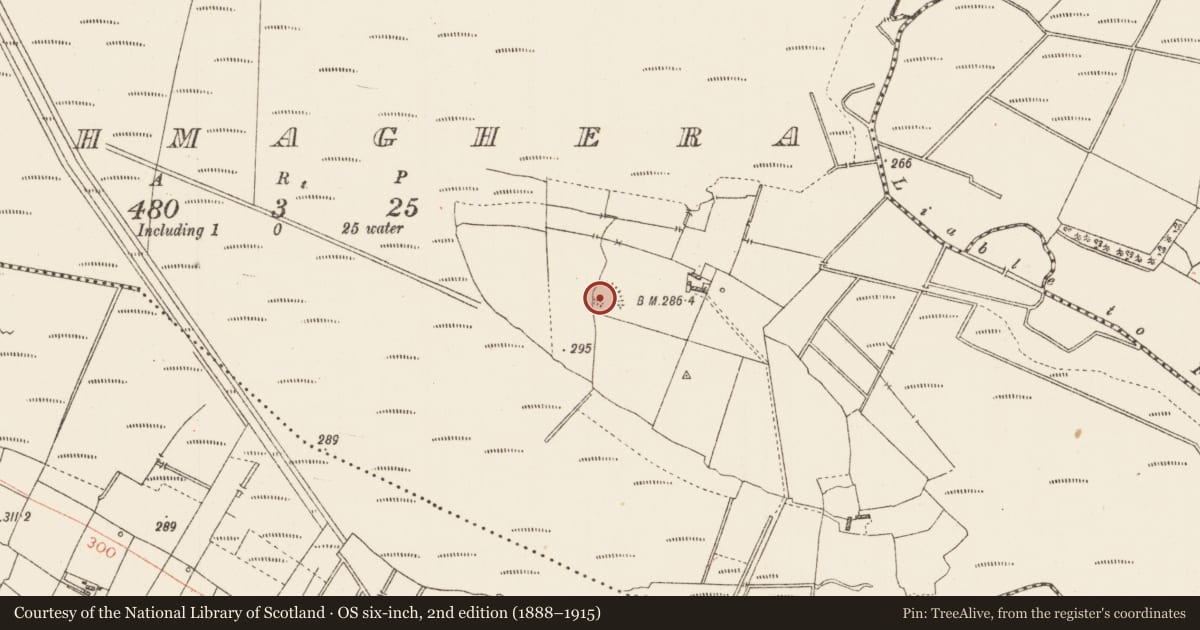 Ordnance Survey six-inch map, 2nd edition (1888–1915) covering the location of Ringfort - rath, Annaghmaghera, County Roscommon, with a pin at the register's coordinates