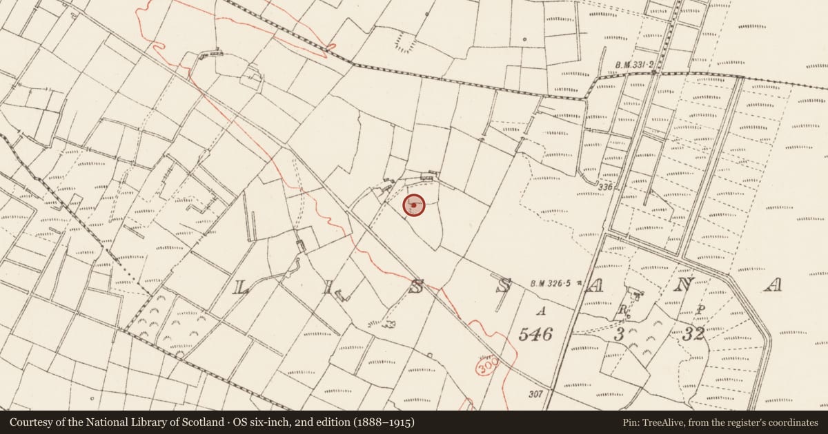 Ordnance Survey six-inch map, 2nd edition (1888–1915) covering the location of Ringfort - rath, Lissananny, County Roscommon, with a pin at the register's coordinates