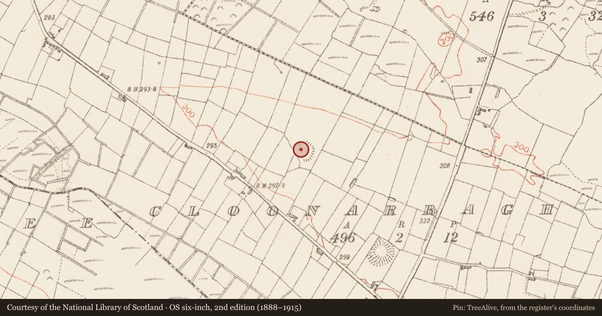 Ordnance Survey six-inch map, 2nd edition (1888–1915) covering the location of Ringfort - rath, Cloonarragh, County Roscommon, with a pin at the register's coordinates