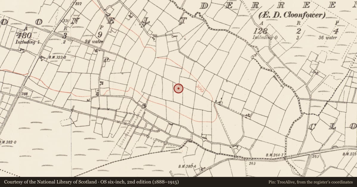 Ordnance Survey six-inch map, 2nd edition (1888–1915) covering the location of Standing stone, Cloonelt, County Roscommon, with a pin at the register's coordinates