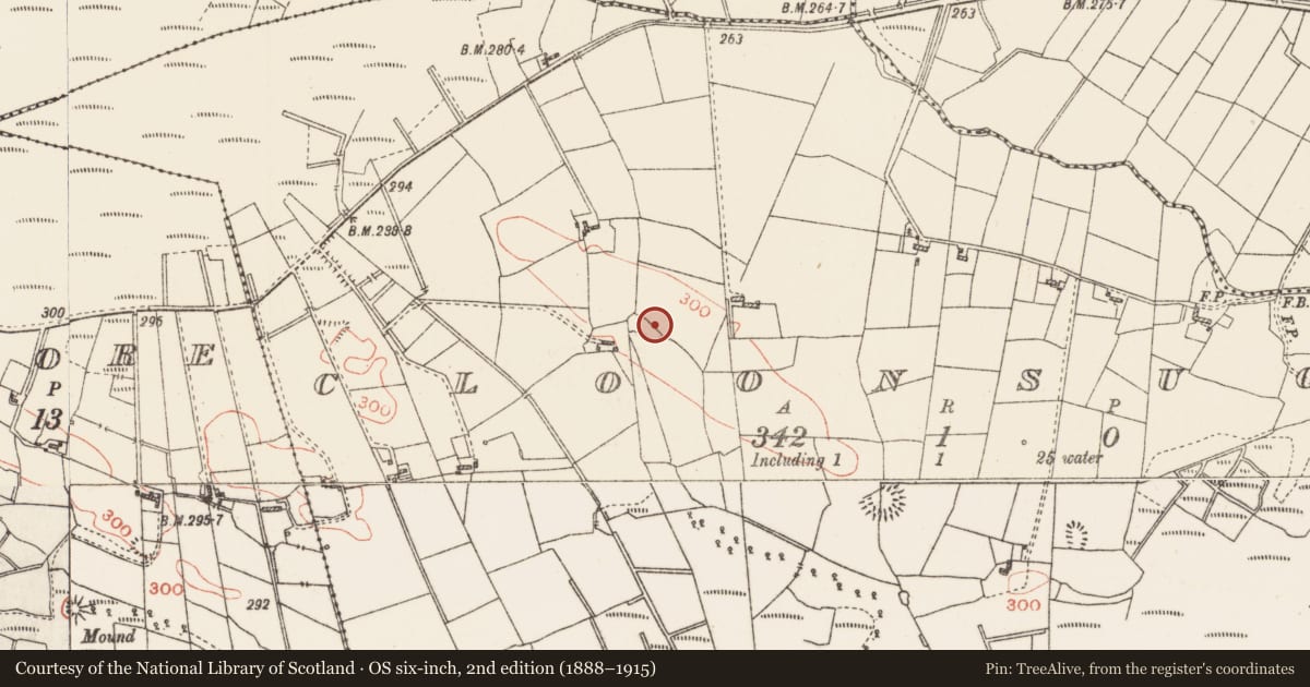 Ordnance Survey six-inch map, 2nd edition (1888–1915) covering the location of Earthwork, Cloonsuck, County Roscommon, with a pin at the register's coordinates