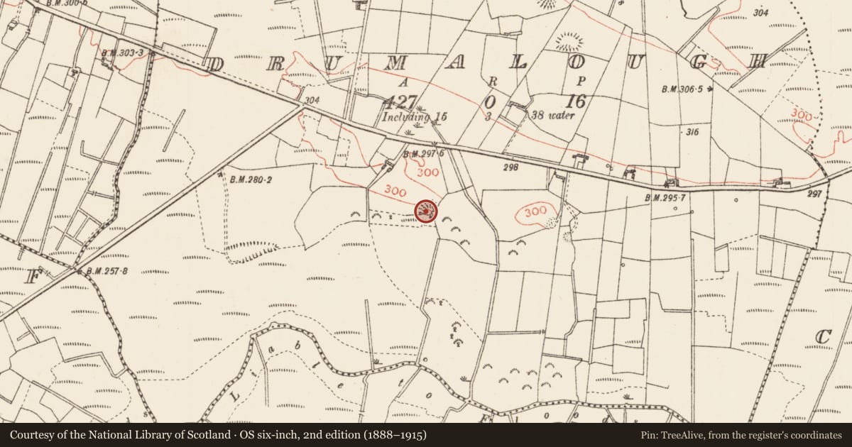 Ordnance Survey six-inch map, 2nd edition (1888–1915) covering the location of Ringfort - rath, Drumalough, County Roscommon, with a pin at the register's coordinates