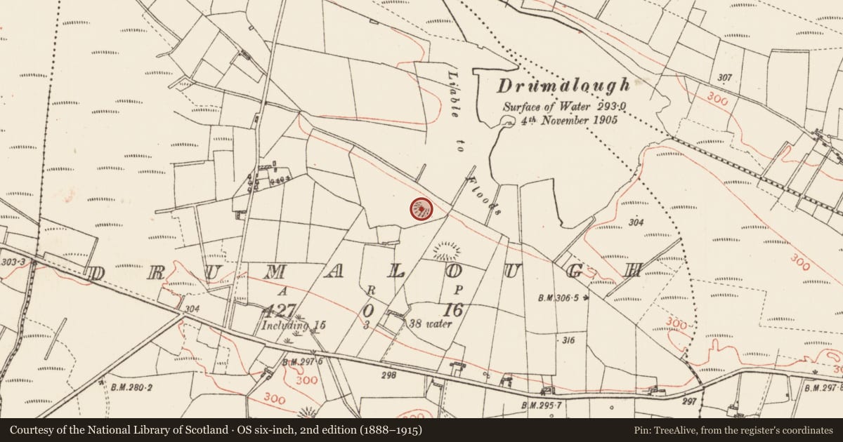 Ordnance Survey six-inch map, 2nd edition (1888–1915) covering the location of Ringfort - rath, Drumalough, County Roscommon, with a pin at the register's coordinates