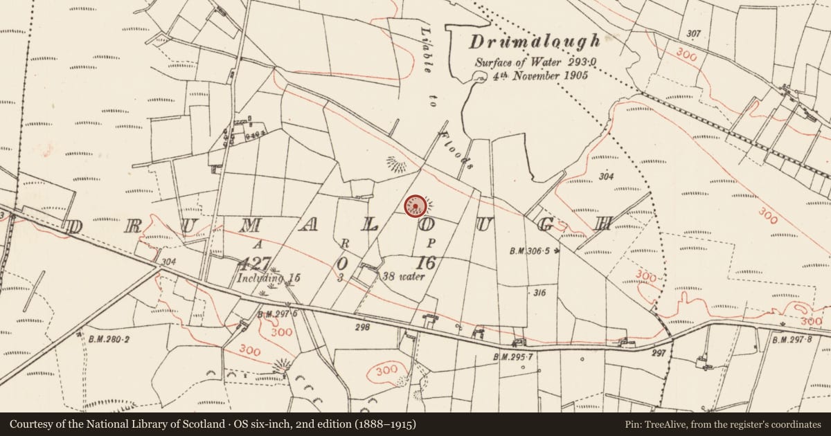 Ordnance Survey six-inch map, 2nd edition (1888–1915) covering the location of Ringfort - rath, Drumalough, County Roscommon, with a pin at the register's coordinates