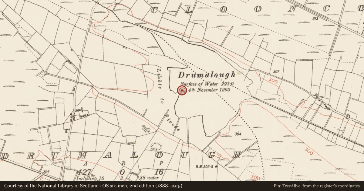 Ordnance Survey six-inch map, 2nd edition (1888–1915) covering the location of Crannog, Drumalough, County Roscommon, with a pin at the register's coordinates