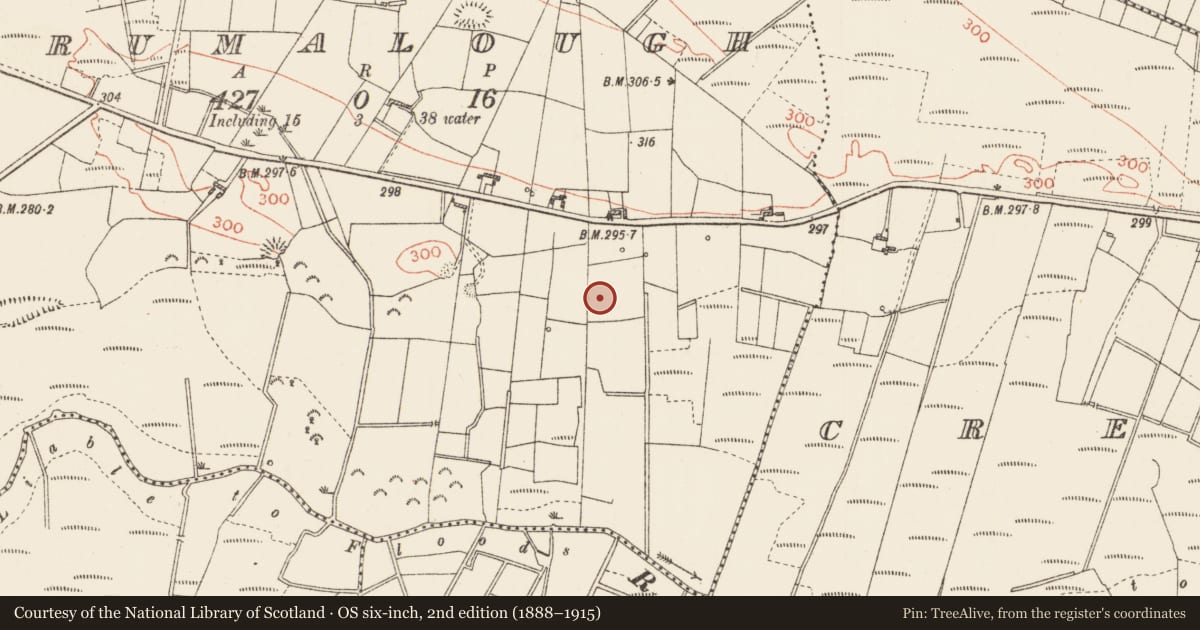Ordnance Survey six-inch map, 2nd edition (1888–1915) covering the location of Earthwork, Drumalough, County Roscommon, with a pin at the register's coordinates