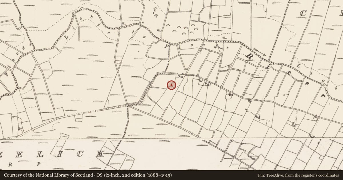 Ordnance Survey six-inch map, 2nd edition (1888–1915) covering the location of Ringfort - cashel, Cloonchambers, County Roscommon, with a pin at the register's coordinates