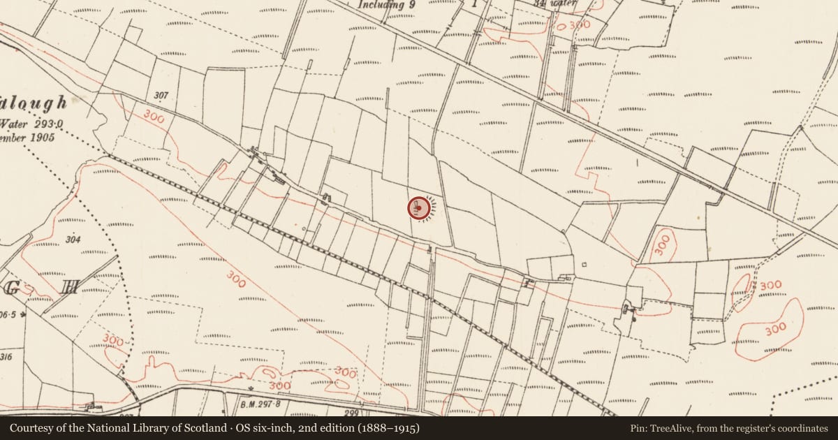Ordnance Survey six-inch map, 2nd edition (1888–1915) covering the location of Ringfort - rath, Clooncoose North, County Roscommon, with a pin at the register's coordinates