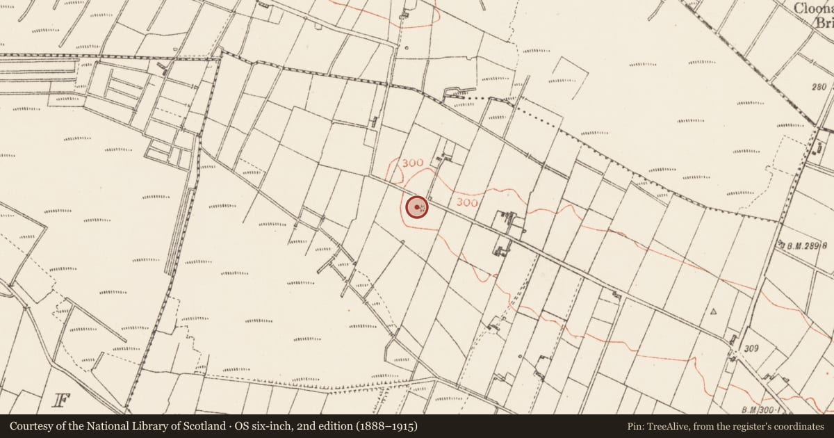 Ordnance Survey six-inch map, 2nd edition (1888–1915) covering the location of Children's burial ground, Ballindrumlea, County Roscommon, with a pin at the register's coordinates
