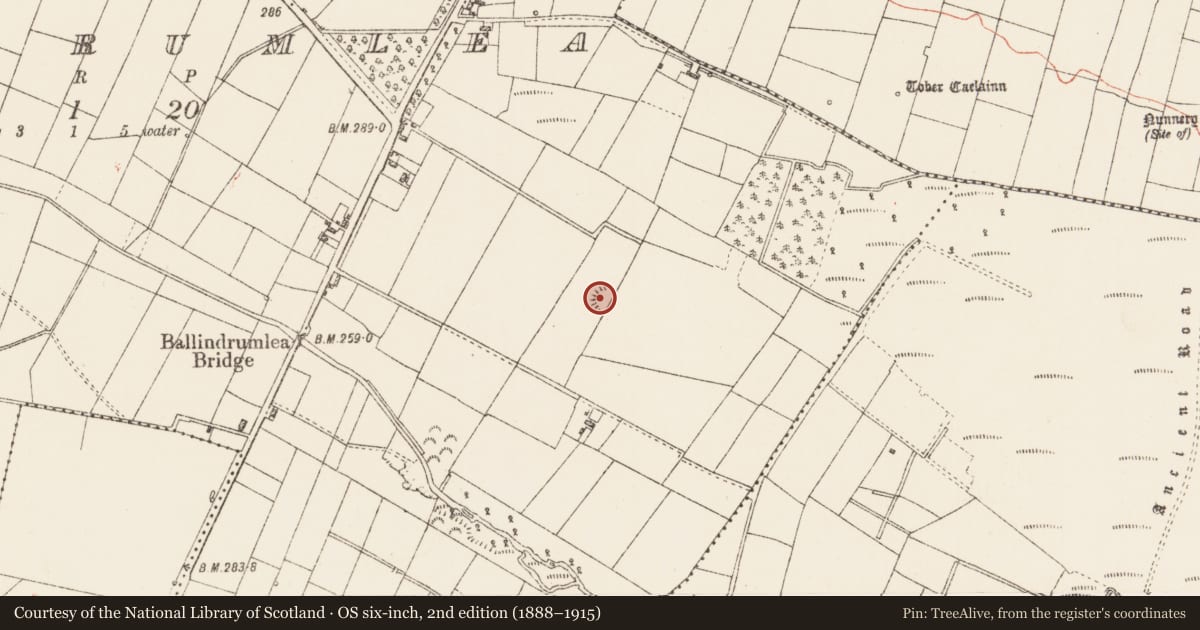 Ordnance Survey six-inch map, 2nd edition (1888–1915) covering the location of Ringfort - rath, Ballindrumlea, County Roscommon, with a pin at the register's coordinates