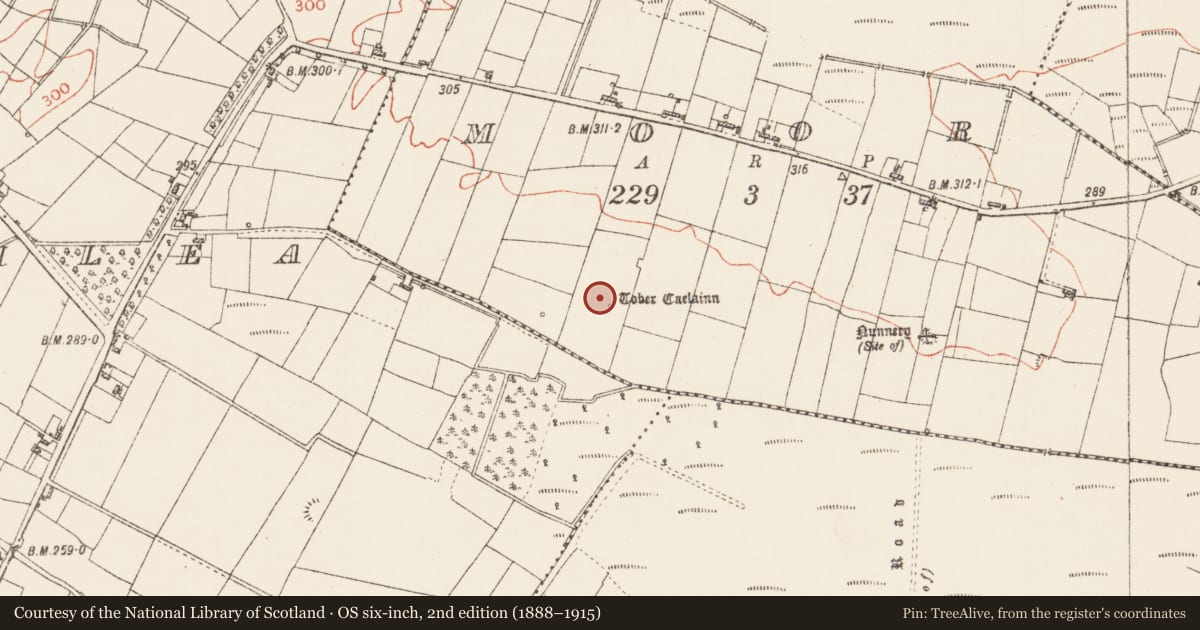 Ordnance Survey six-inch map, 2nd edition (1888–1915) covering the location of Ritual site - holy well, Moor, County Roscommon, with a pin at the register's coordinates