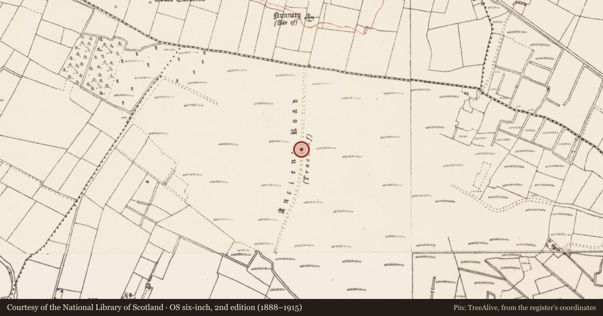 Ordnance Survey six-inch map, 2nd edition (1888–1915) covering the location of Road - road/trackway, Moor, Termon More, County Roscommon, with a pin at the register's coordinates