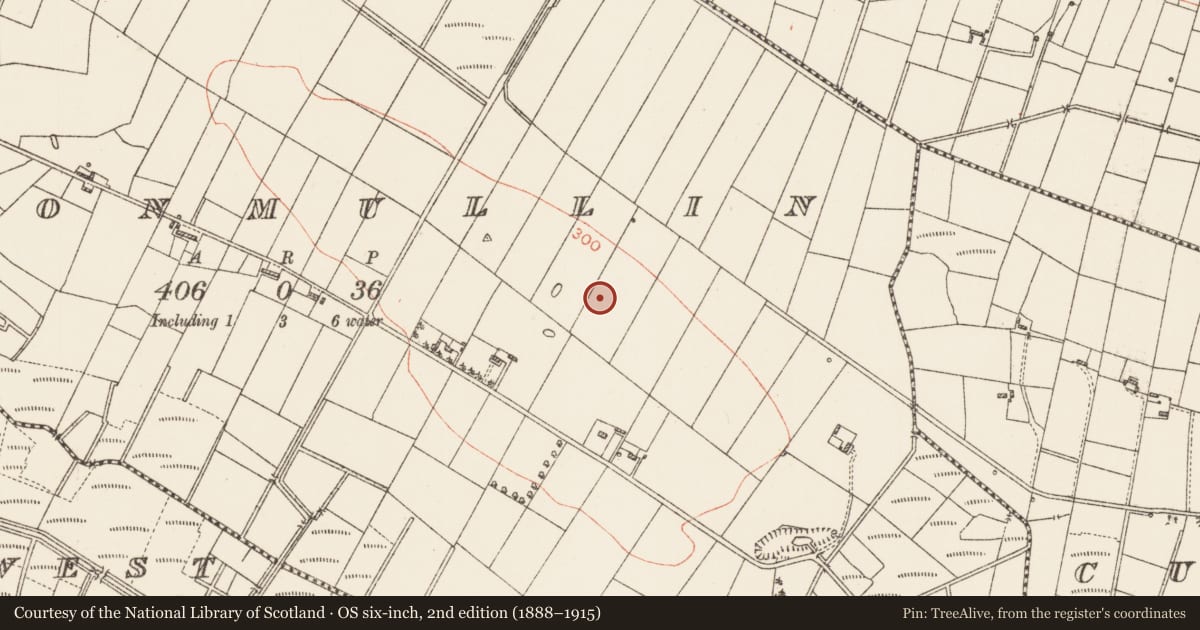 Ordnance Survey six-inch map, 2nd edition (1888–1915) covering the location of Church, Cloonmullin, County Roscommon, with a pin at the register's coordinates