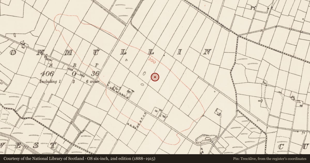 Ordnance Survey six-inch map, 2nd edition (1888–1915) covering the location of Cist, Cloonmullin, County Roscommon, with a pin at the register's coordinates