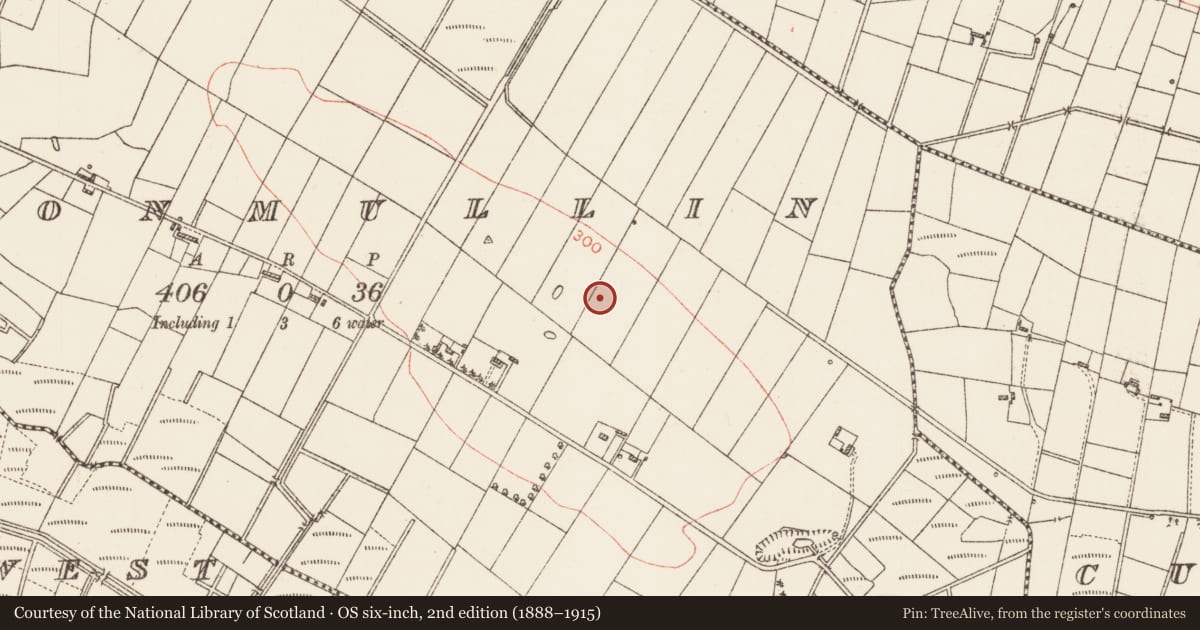 Ordnance Survey six-inch map, 2nd edition (1888–1915) covering the location of Children's burial ground, Cloonmullin, County Roscommon, with a pin at the register's coordinates