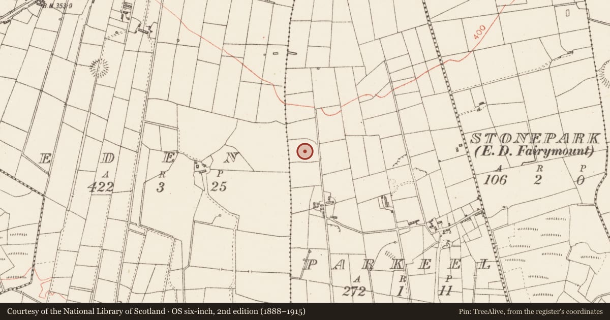 Ordnance Survey six-inch map, 2nd edition (1888–1915) covering the location of Ringfort - cashel, Parkeel, County Roscommon, with a pin at the register's coordinates