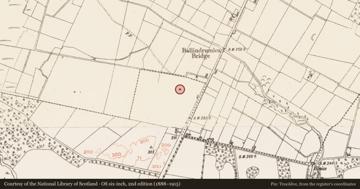 Ordnance Survey six-inch map, 2nd edition (1888–1915) covering the location of Racecourse, Demesne, County Roscommon, with a pin at the register's coordinates