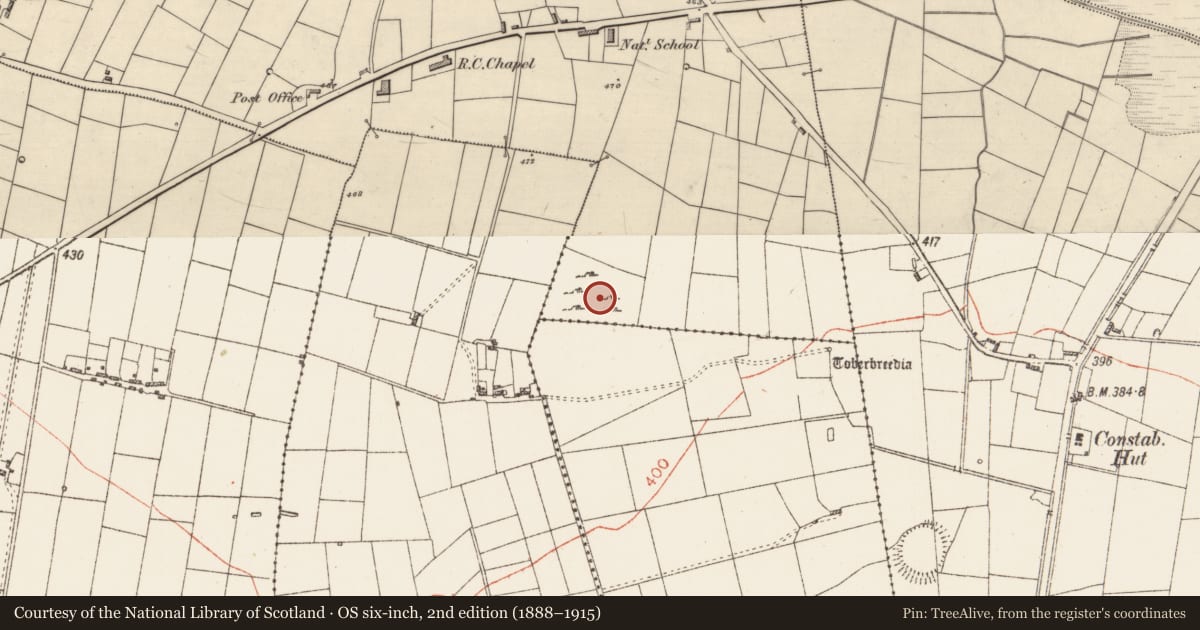 Ordnance Survey six-inch map, 2nd edition (1888–1915) covering the location of Ringfort - cashel, Mullaghnashee, County Roscommon, with a pin at the register's coordinates