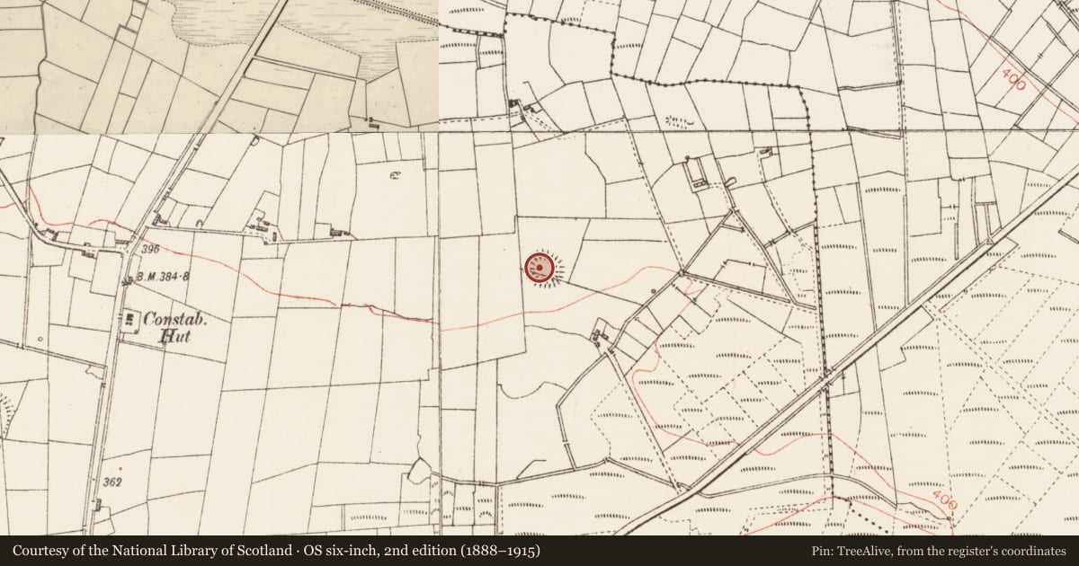 Ordnance Survey six-inch map, 2nd edition (1888–1915) covering the location of Ringfort - rath, Cloonfinglas, County Roscommon, with a pin at the register's coordinates