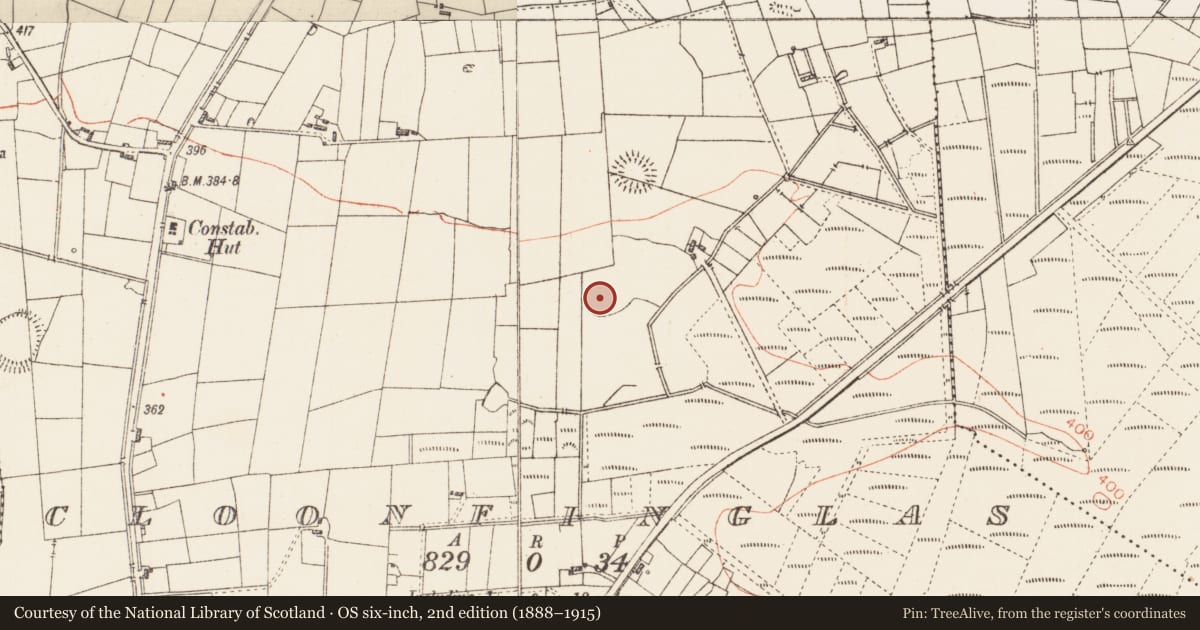 Ordnance Survey six-inch map, 2nd edition (1888–1915) covering the location of Ringfort - rath, Cloonfinglas, County Roscommon, with a pin at the register's coordinates