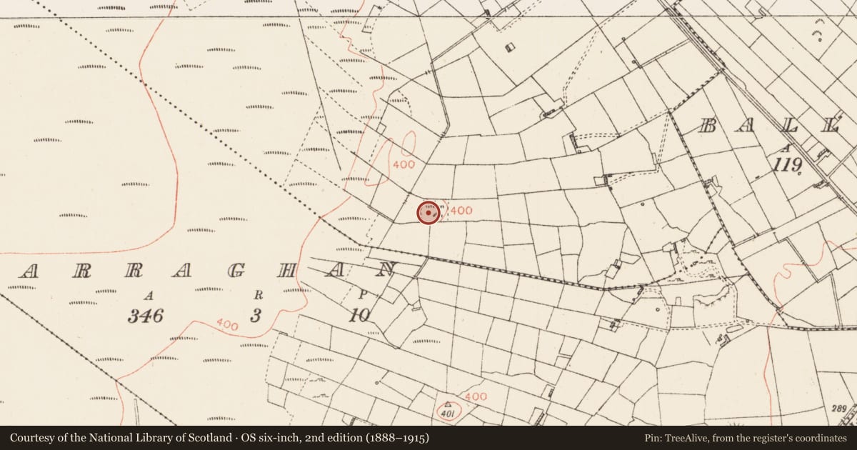 Ordnance Survey six-inch map, 2nd edition (1888–1915) covering the location of Ringfort - cashel, Cornamucklagh And Falmore, County Roscommon, with a pin at the register's coordinates
