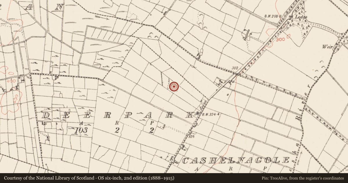 Ordnance Survey six-inch map, 2nd edition (1888–1915) covering the location of Enclosure, Deerpark, County Roscommon, with a pin at the register's coordinates