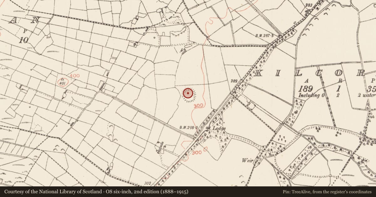 Ordnance Survey six-inch map, 2nd edition (1888–1915) covering the location of Children's burial ground, Arraghan, County Roscommon, with a pin at the register's coordinates