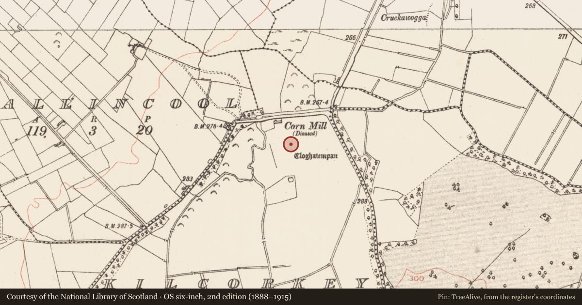 Ordnance Survey six-inch map, 2nd edition (1888–1915) covering the location of Standing stone, Kilcorkey, County Roscommon, with a pin at the register's coordinates