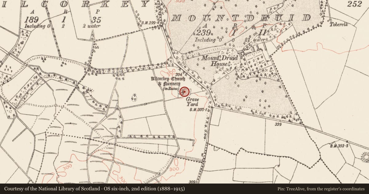 Ordnance Survey six-inch map, 2nd edition (1888–1915) covering the location of Cross, Mountdruid, County Roscommon, with a pin at the register's coordinates