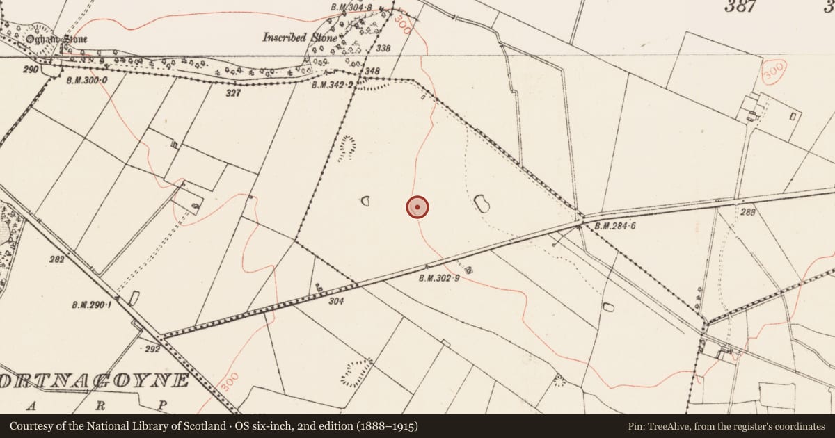 Ordnance Survey six-inch map, 2nd edition (1888–1915) covering the location of Standing stone, Tullaghan, County Roscommon, with a pin at the register's coordinates