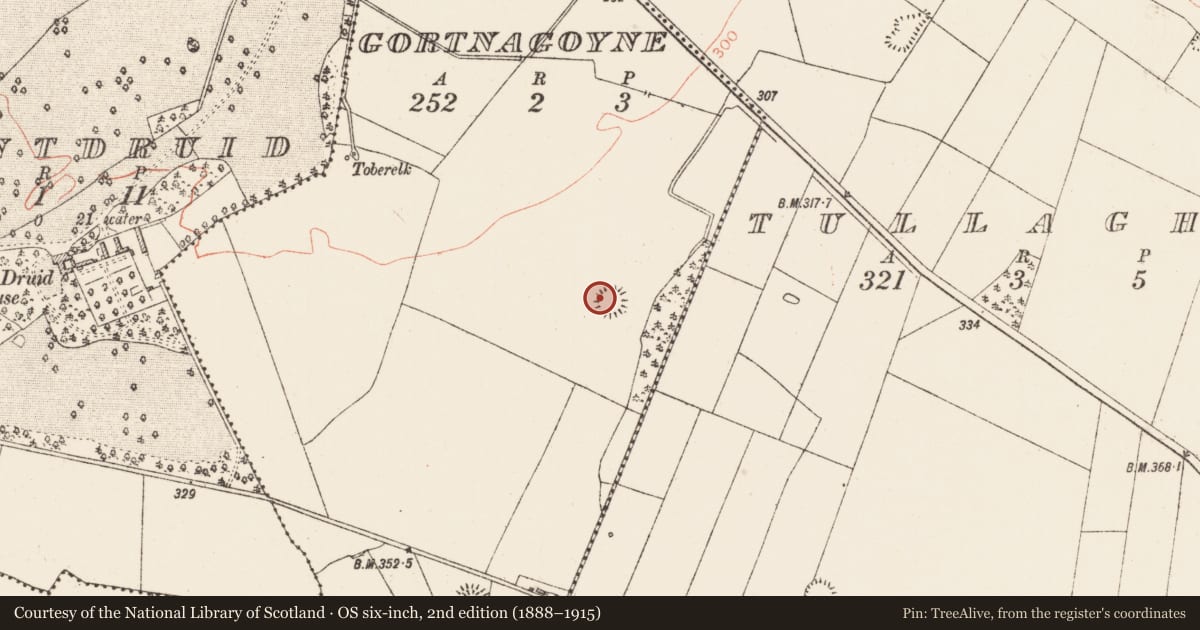 Ordnance Survey six-inch map, 2nd edition (1888–1915) covering the location of Ringfort - rath, Gortnagoyne, County Roscommon, with a pin at the register's coordinates