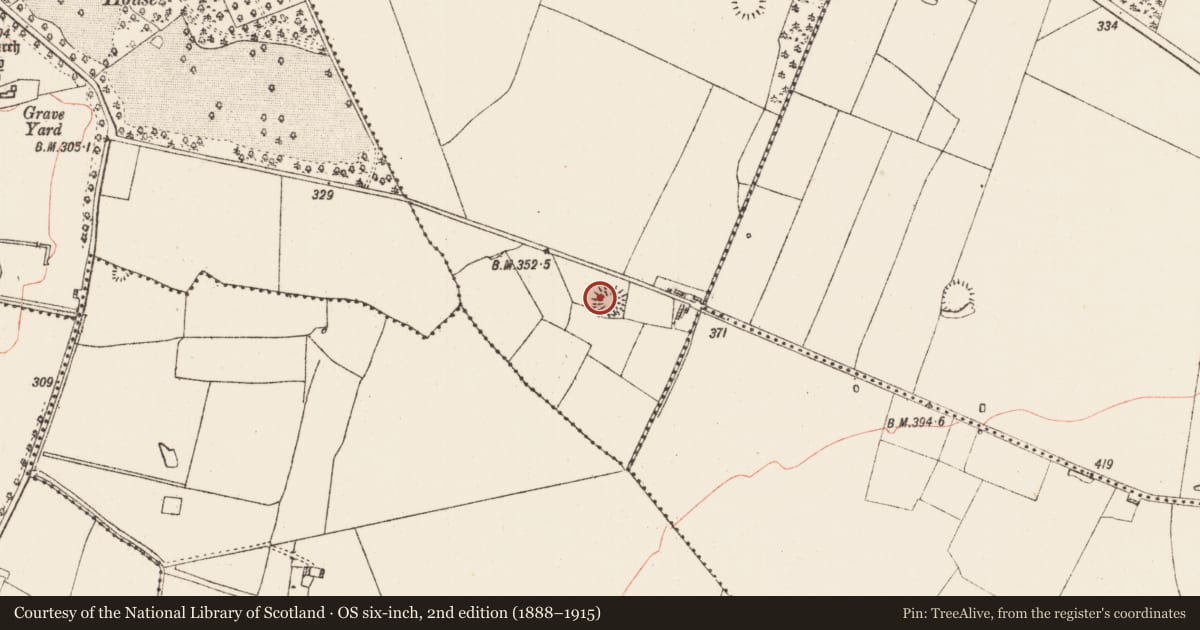 Ordnance Survey six-inch map, 2nd edition (1888–1915) covering the location of Ringfort - rath, Gortnagoyne, County Roscommon, with a pin at the register's coordinates