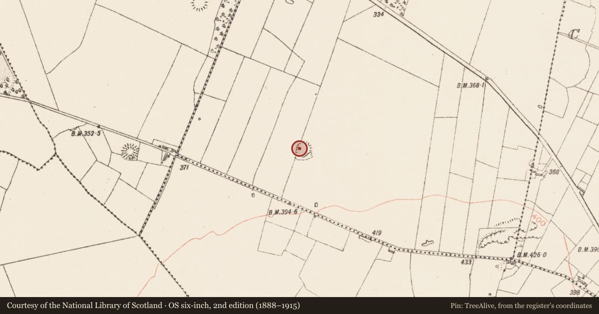Ordnance Survey six-inch map, 2nd edition (1888–1915) covering the location of Ringfort - rath, Tullaghan, County Roscommon, with a pin at the register's coordinates