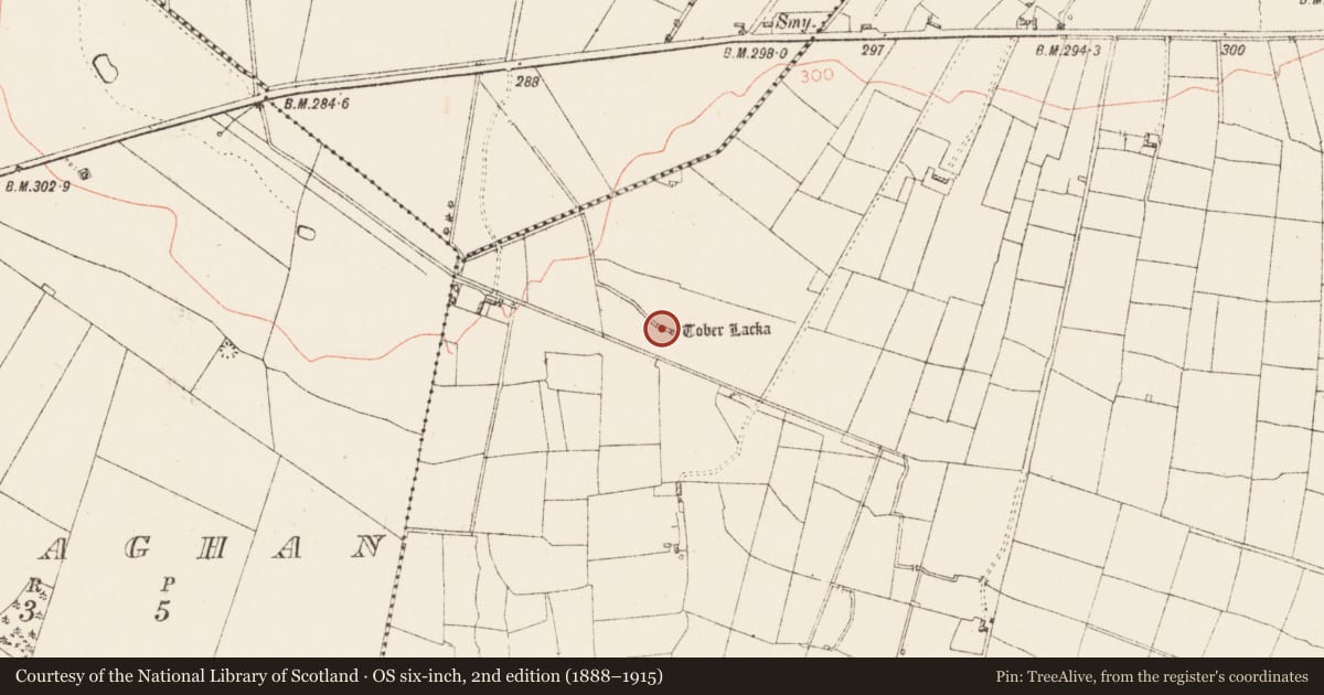 Ordnance Survey six-inch map, 2nd edition (1888–1915) covering the location of Well, Carrowreagh, County Roscommon, with a pin at the register's coordinates