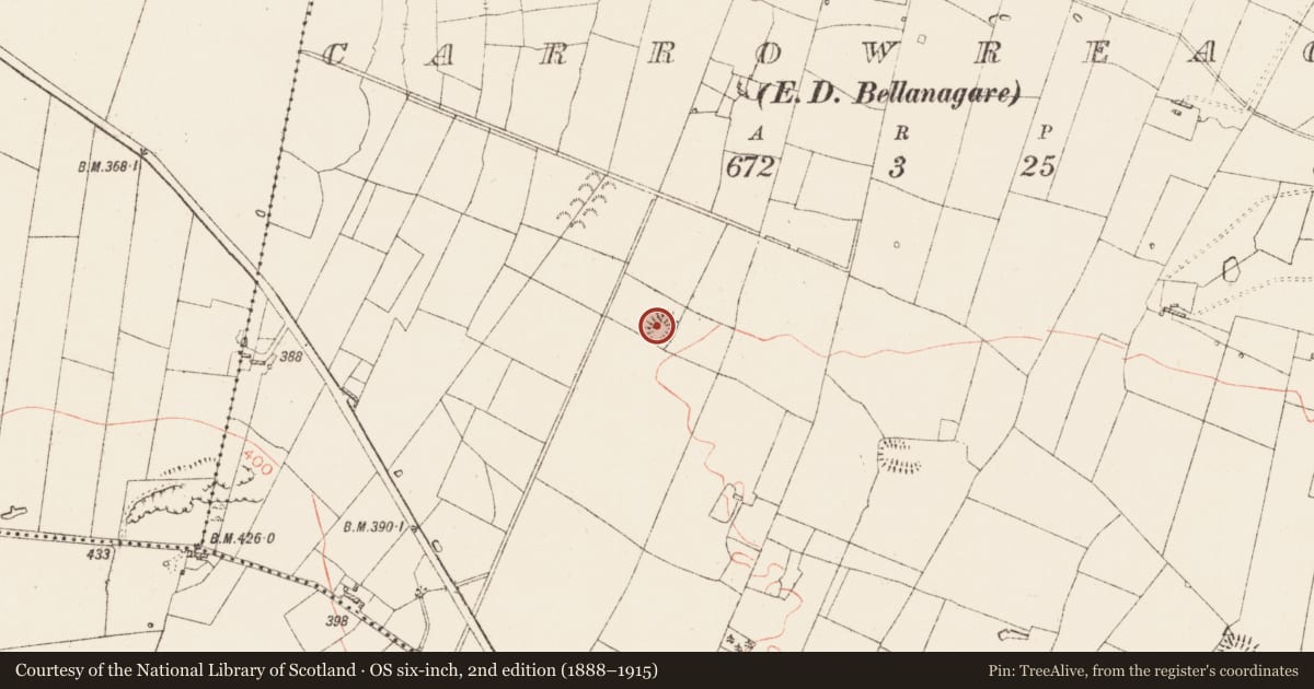 Ordnance Survey six-inch map, 2nd edition (1888–1915) covering the location of Ringfort - rath, Carrowreagh, County Roscommon, with a pin at the register's coordinates