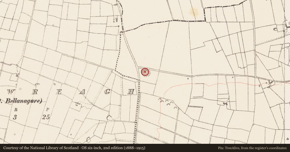 Ordnance Survey six-inch map, 2nd edition (1888–1915) covering the location of Ringfort - rath, Ballyconboy, County Roscommon, with a pin at the register's coordinates
