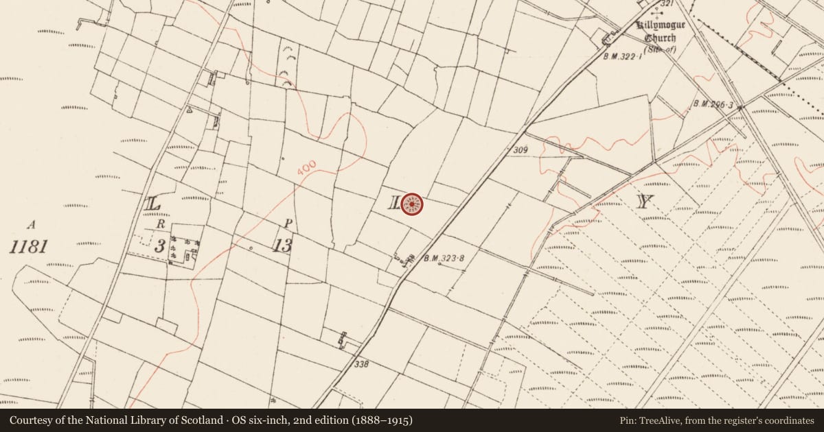 Ordnance Survey six-inch map, 2nd edition (1888–1915) covering the location of Ringfort - cashel, Tully, County Roscommon, with a pin at the register's coordinates