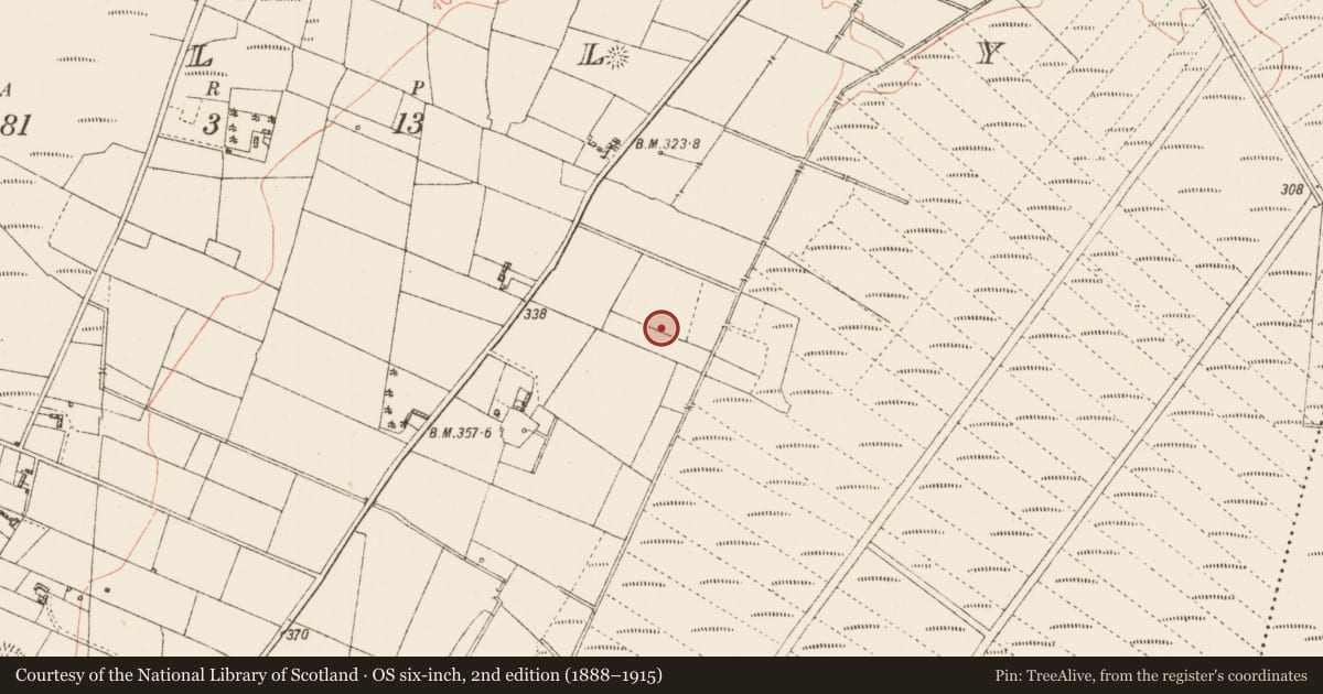 Ordnance Survey six-inch map, 2nd edition (1888–1915) covering the location of Earthwork, Tully, County Roscommon, with a pin at the register's coordinates
