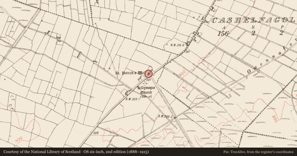 Ordnance Survey six-inch map, 2nd edition (1888–1915) covering the location of Ritual site - holy tree/bush, Tully, County Roscommon, with a pin at the register's coordinates