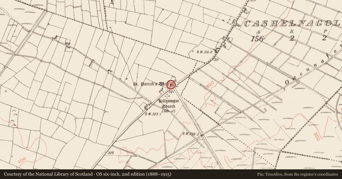 Ordnance Survey six-inch map, 2nd edition (1888–1915) covering the location of Penitential station, Tully, County Roscommon, with a pin at the register's coordinates