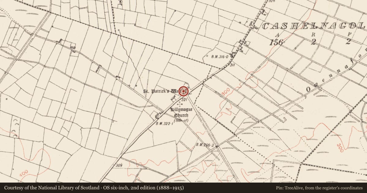 Ordnance Survey six-inch map, 2nd edition (1888–1915) covering the location of Building, Tully, County Roscommon, with a pin at the register's coordinates