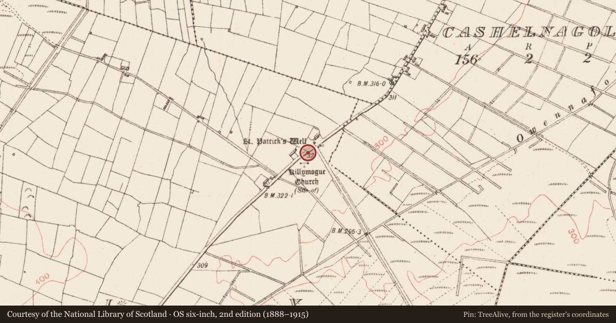 Ordnance Survey six-inch map, 2nd edition (1888–1915) covering the location of Church, Tully, County Roscommon, with a pin at the register's coordinates