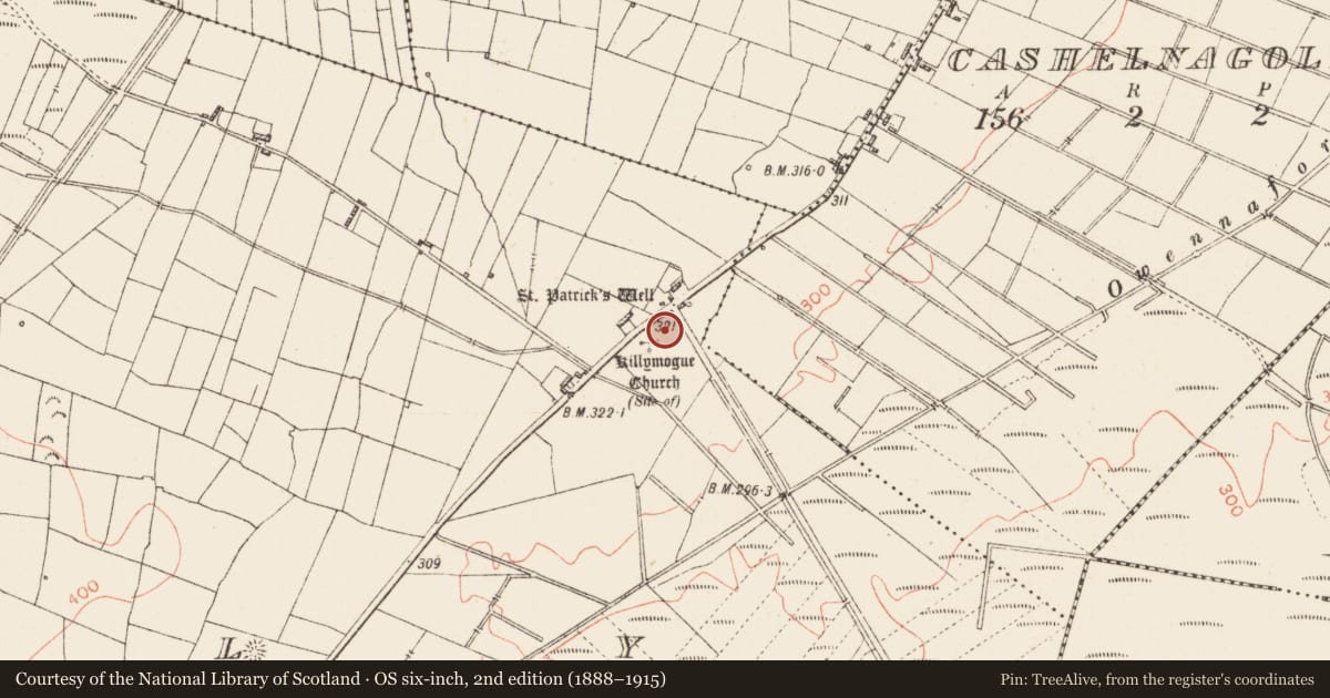 Ordnance Survey six-inch map, 2nd edition (1888–1915) covering the location of Children's burial ground, Tully, County Roscommon, with a pin at the register's coordinates