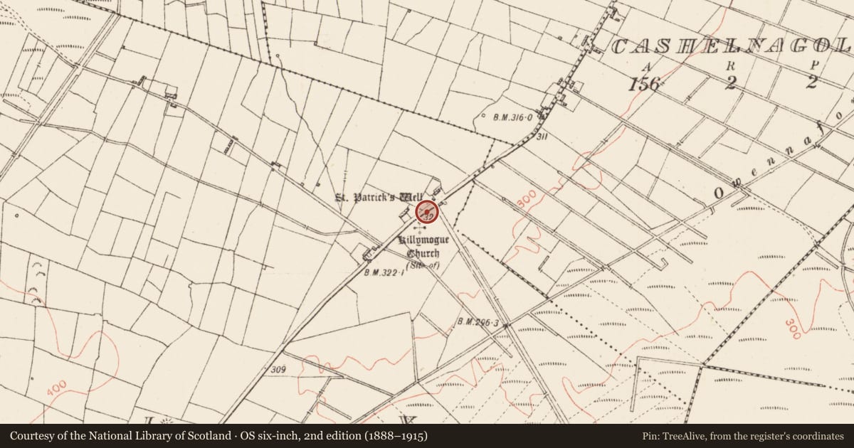 Ordnance Survey six-inch map, 2nd edition (1888–1915) covering the location of Ecclesiastical enclosure, Tully, County Roscommon, with a pin at the register's coordinates