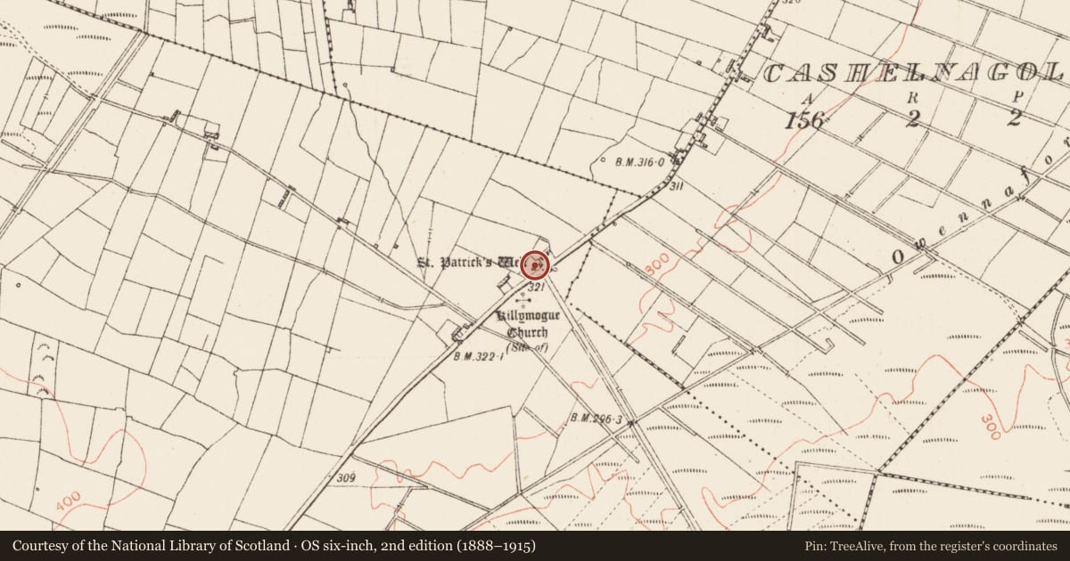 Ordnance Survey six-inch map, 2nd edition (1888–1915) covering the location of Cross-inscribed stone, Tully, County Roscommon, with a pin at the register's coordinates
