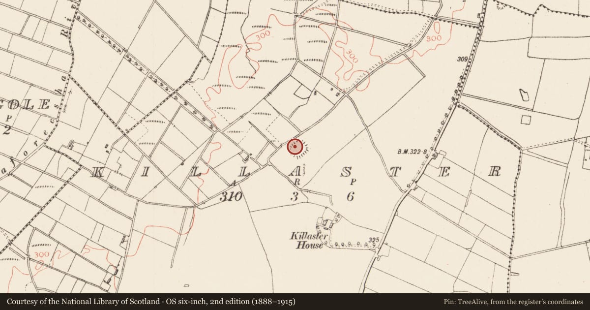 Ordnance Survey six-inch map, 2nd edition (1888–1915) covering the location of Church, Killaster, County Roscommon, with a pin at the register's coordinates