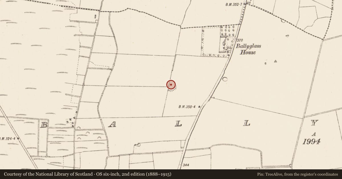 Ordnance Survey six-inch map, 2nd edition (1888–1915) covering the location of Ringfort - rath, Ballyglass, County Roscommon, with a pin at the register's coordinates