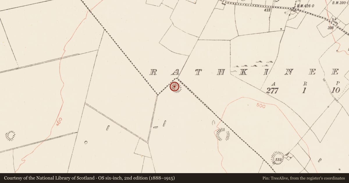 Ordnance Survey six-inch map, 2nd edition (1888–1915) covering the location of Ringfort - rath, Ballyglass, County Roscommon, with a pin at the register's coordinates