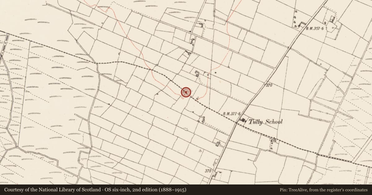 Ordnance Survey six-inch map, 2nd edition (1888–1915) covering the location of Ringfort - rath, Brackloon, Tully, County Roscommon, with a pin at the register's coordinates