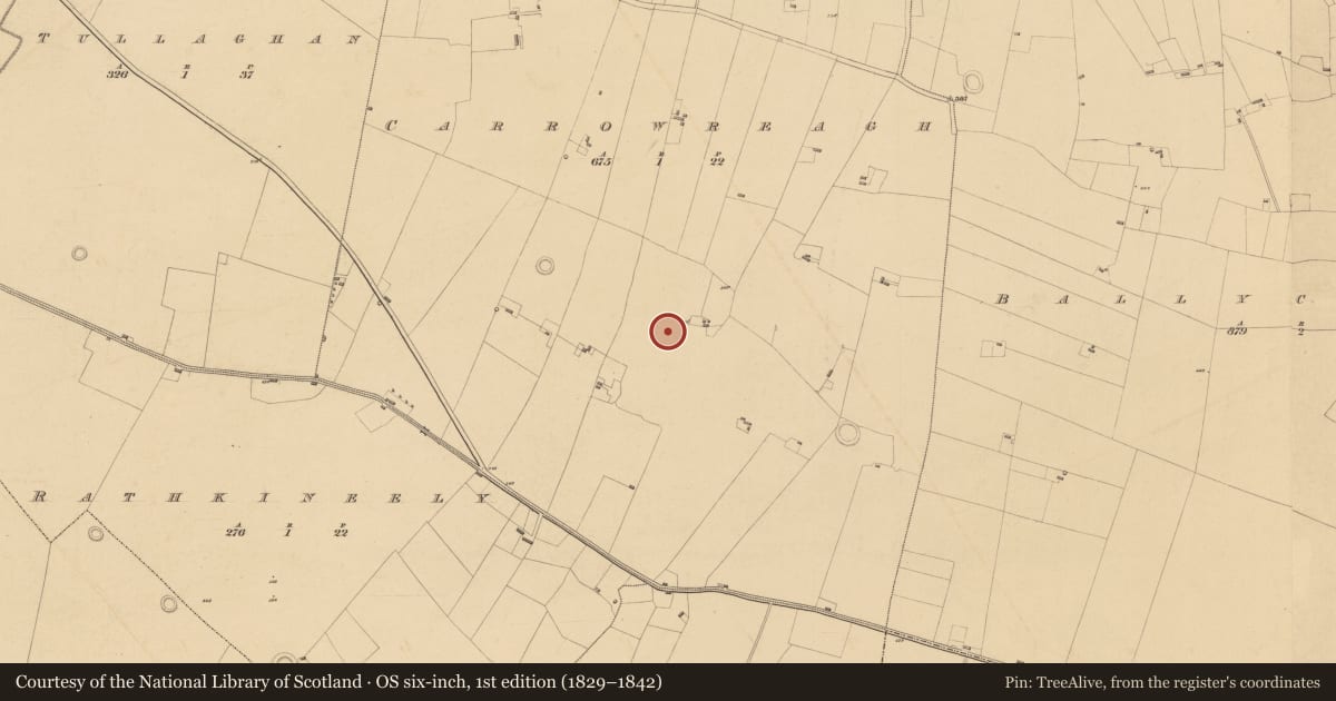 Ordnance Survey six-inch map, 1st edition (1829–1842) covering the location of Moated site, Carrowreagh, County Roscommon, with a pin at the register's coordinates